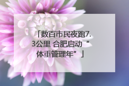 数百市民夜跑7.3公里 合肥启动“体重管理年”